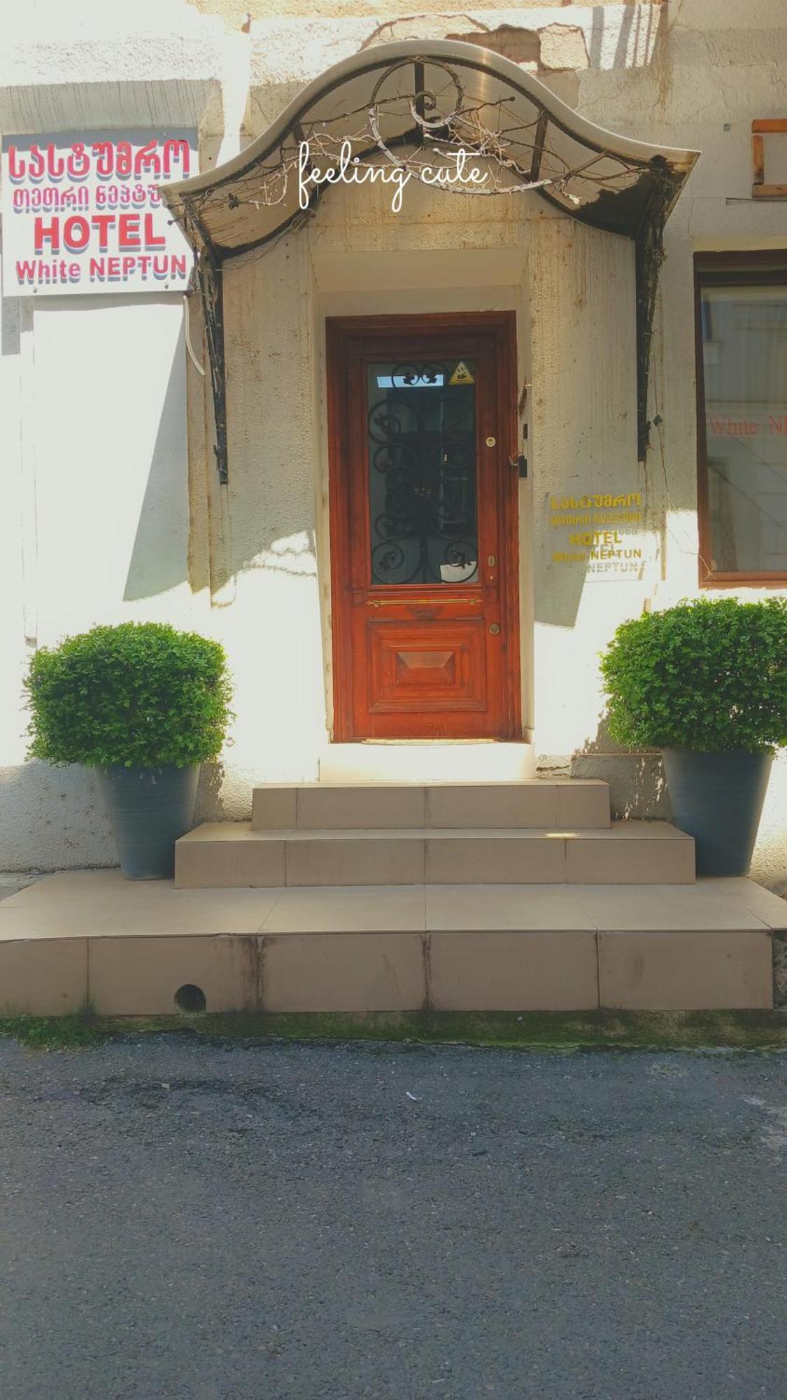 Hotel White Neptun Georgia Tbilisi Eksteriør billede